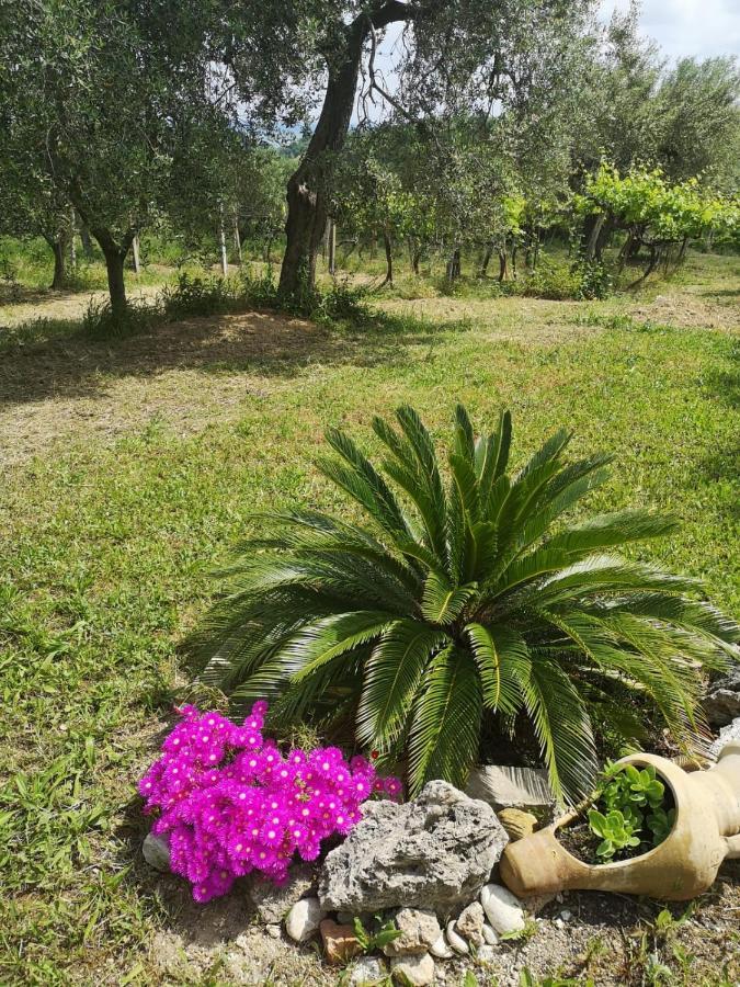 B&B Stella Dell'Adriatico Ortona Eksteriør bilde