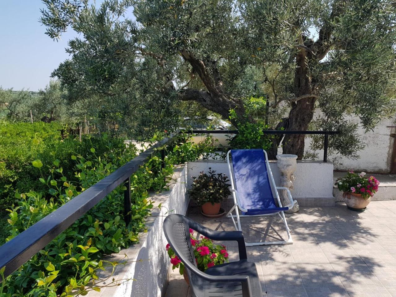 B&B Stella Dell'Adriatico Ortona Eksteriør bilde